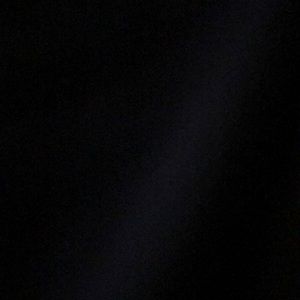 Meet your Posher, Rodney